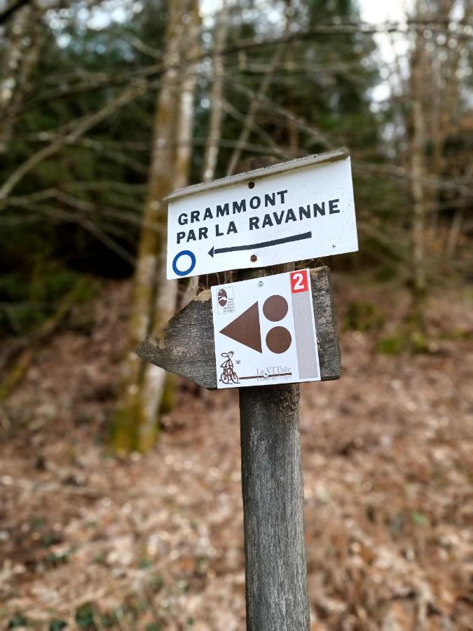 Gite De La Ravanne Ramonchamp Exterior foto